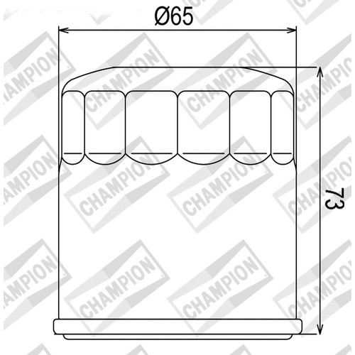Oil filter champion - oil, for